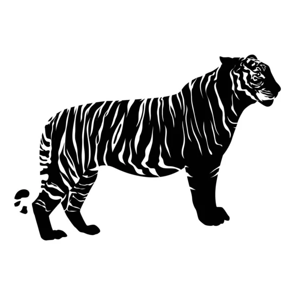 Ilustración Vectorial Tigre Lindo — Vector de stock