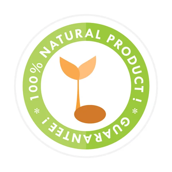 Grüne Öko Lebensmittel Symbol Vektor Illustration — Stockvektor