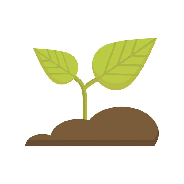 Plant Icoon Witte Achtergrond Vectorillustratie — Stockvector