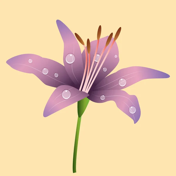 Vector Illustratie Van Een Bloem — Stockvector