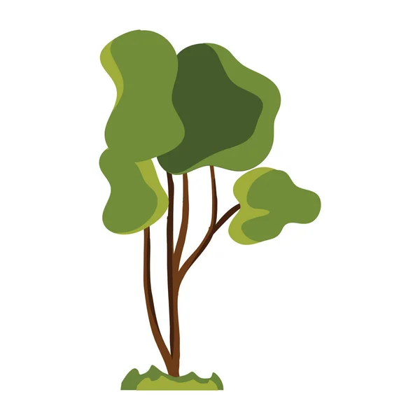 Ağaç Simgesi Vektör Illüstrasyon Grafik Tasarımı — Stok Vektör