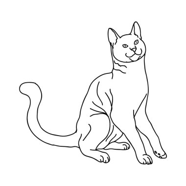Şirin bir kedinin vektör çizimi