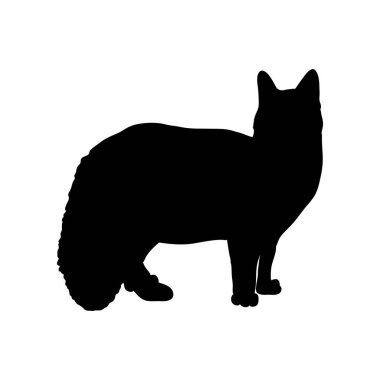 Büyük dilli bir kedinin siyah silueti.