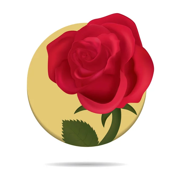 Ilustración Vectorial Una Rosa Roja Sobre Fondo Blanco — Archivo Imágenes Vectoriales