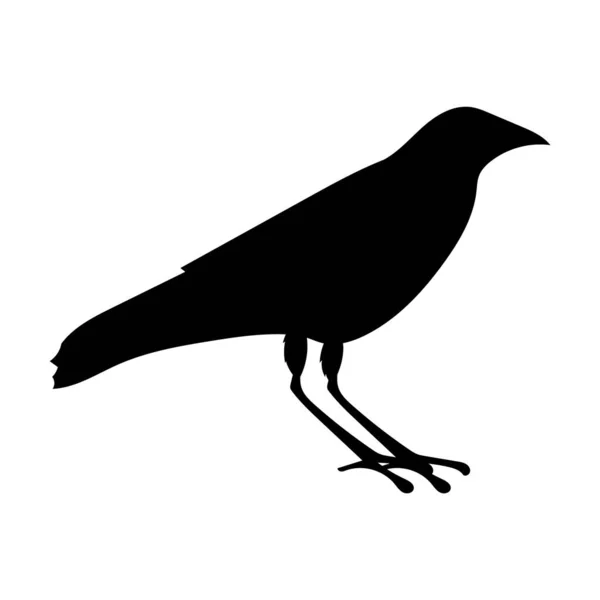 Zwart Silhouet Van Een Vogel Een Witte Achtergrond — Stockvector