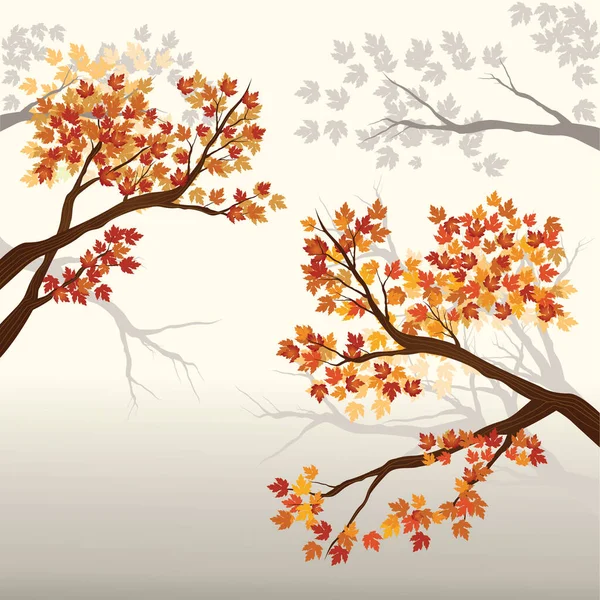Herbstbaum Mit Blättern Und Rotem Ahorn — Stockvektor