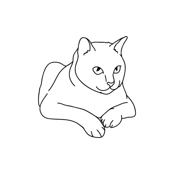 Δημιουργική Διανυσματική Απεικόνιση Της Γάτας — Διανυσματικό Αρχείο