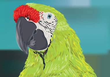 Vektör illüstrasyonu, simge ögesi arkaplanı