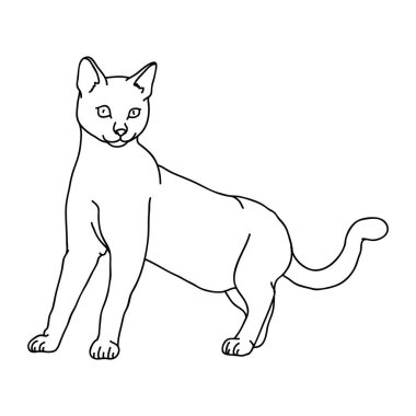 Kedi çiziminin yaratıcı vektör çizimi