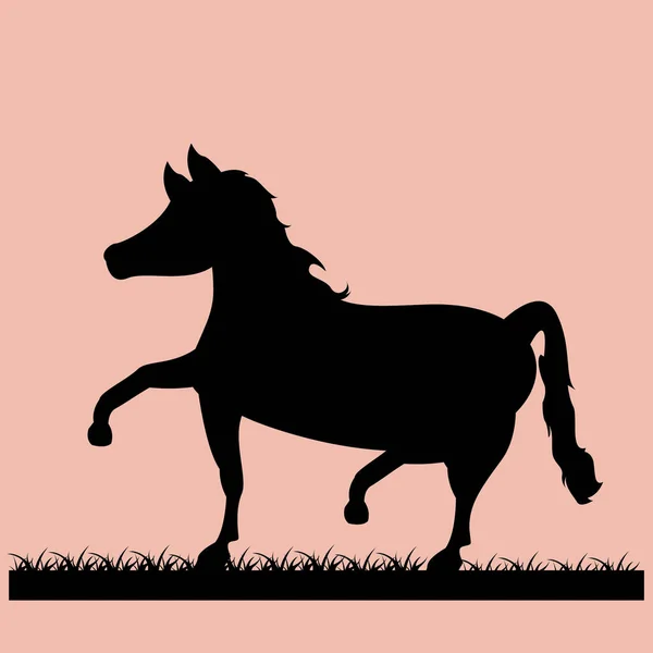 Vector Illustration Horse Silhouette — Stock Vector