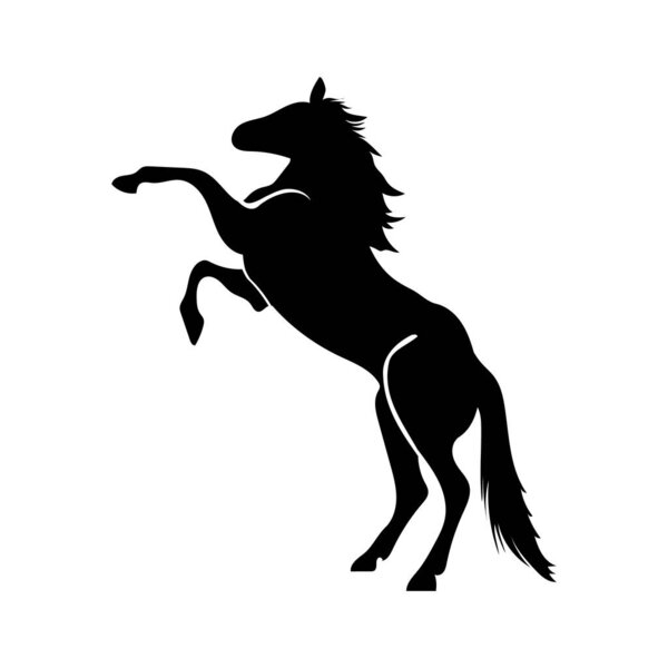 horse silhouette isolated on white background