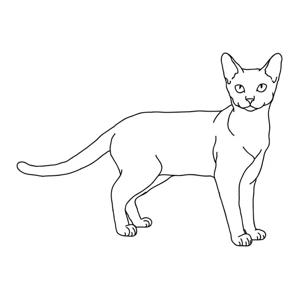 Black White Cartoon Cat — Stock Vector