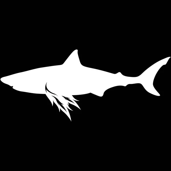 Illustration Vectorielle Créative Requin — Image vectorielle