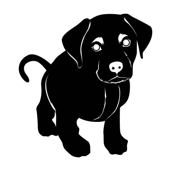 Vector Silueta Negro Con Cachorro Dachshund — Vector de stock