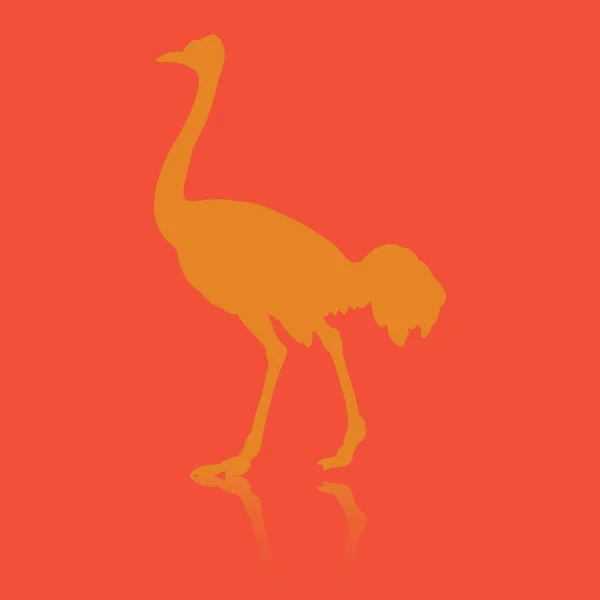 Ilustração Vetorial Flamingo —  Vetores de Stock