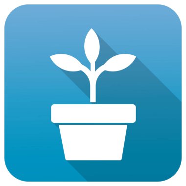 bitki vektör simgesi. biçim iki renkli düz sembol, pembe ve beyaz renkler, yuvarlak açılar, mavi arkaplan