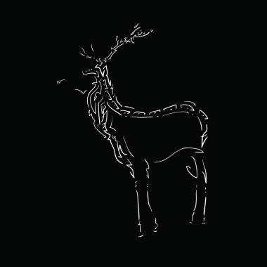 Bir at siluetinin vektör çizimi