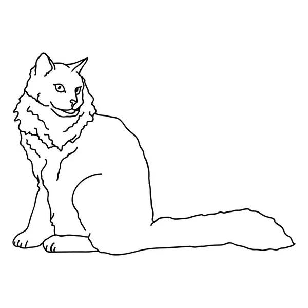 Творческая Векторная Иллюстрация Кота — стоковый вектор
