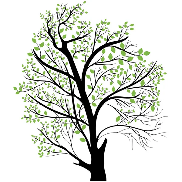 Silueta Árbol Vectorial Aislada Sobre Fondo Blanco — Archivo Imágenes Vectoriales