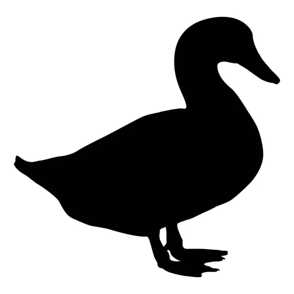 Vector Silhouette Duck — Stock Vector
