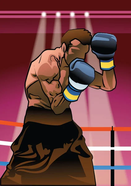 Boxe Arte Marcial Vetor Ilustração — Vetor de Stock