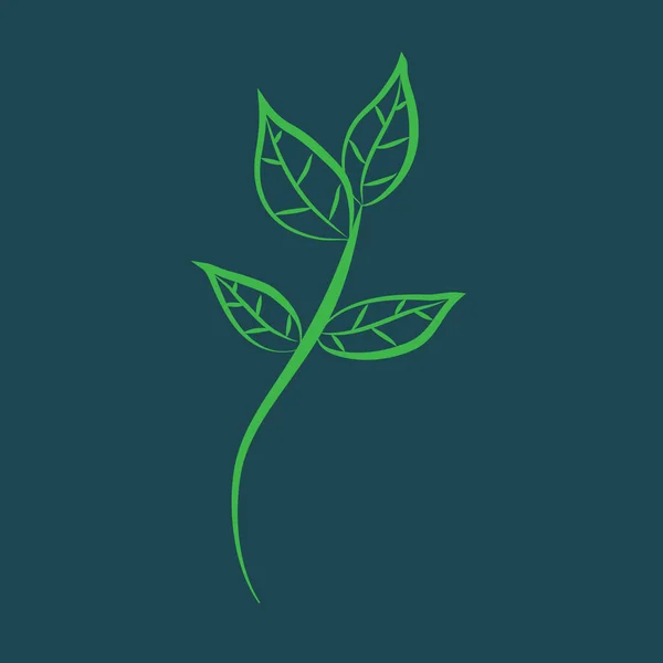 Kreativní Vektorová Ilustrace Rostliny — Stockový vektor