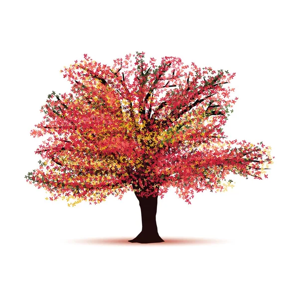 Árbol Otoño Rojo Aislado Sobre Fondo Blanco — Archivo Imágenes Vectoriales