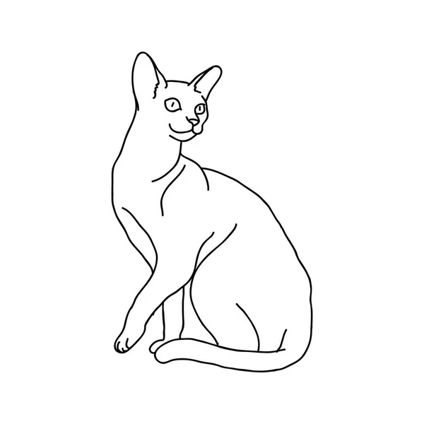 Schwarz Weiße Vektorillustration Der Katzensilhouette — Stockvektor