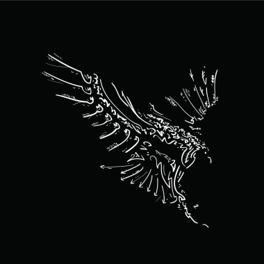 Bir kuşun el çizimi vektör çizimi