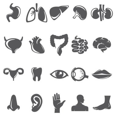 insan simgelerinin vektör kümesi