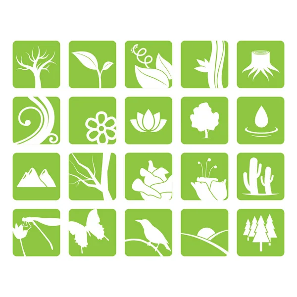 Conjunto Iconos Vectoriales Plantas Hojas — Vector de stock