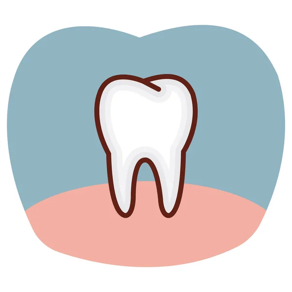 Tooth Icon Vector Illustration — Stock Vector