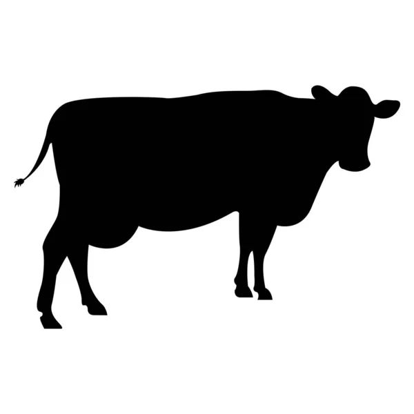 Vache Isolée Sur Fond Blanc — Image vectorielle