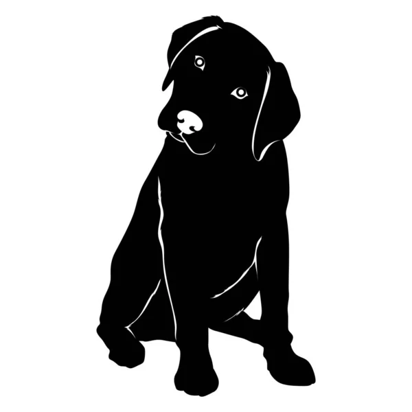 Silhouette Black Dog White Background — Stock Vector