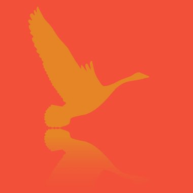 Bir kuş siluetinin vektör çizimi