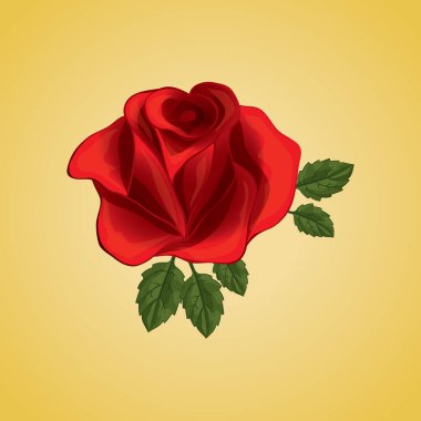 modern grafik vektör illüstrasyonu