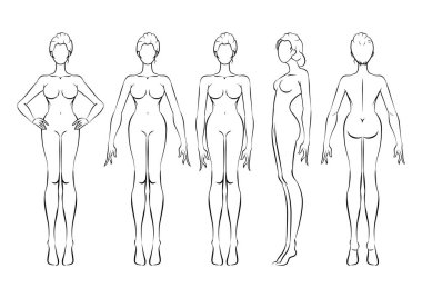 vector illustration of women body and woman clipart
