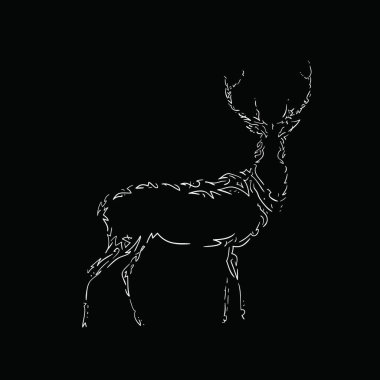 Bir geyiğin vektör çizimi