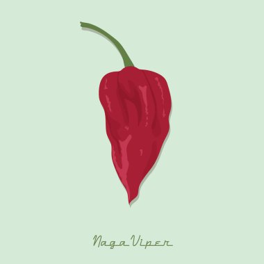 Sıcak kırmızı biberin vektör çizimi