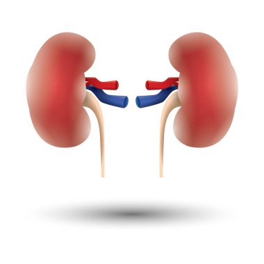 Basit renk vektör illüstrasyonu