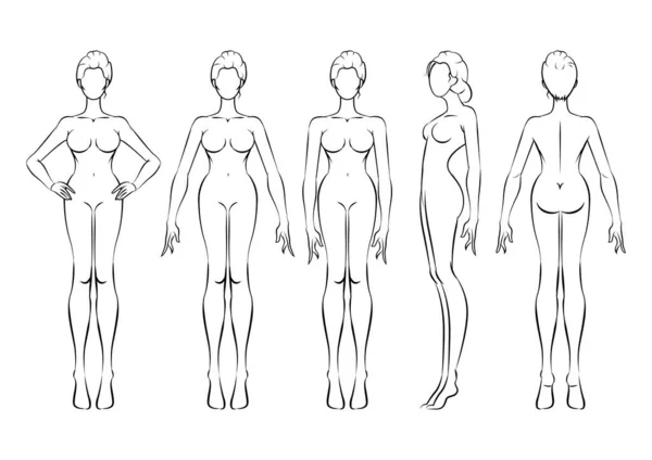 Kadın vücudunun ve kadının vektör illüstrasyonu