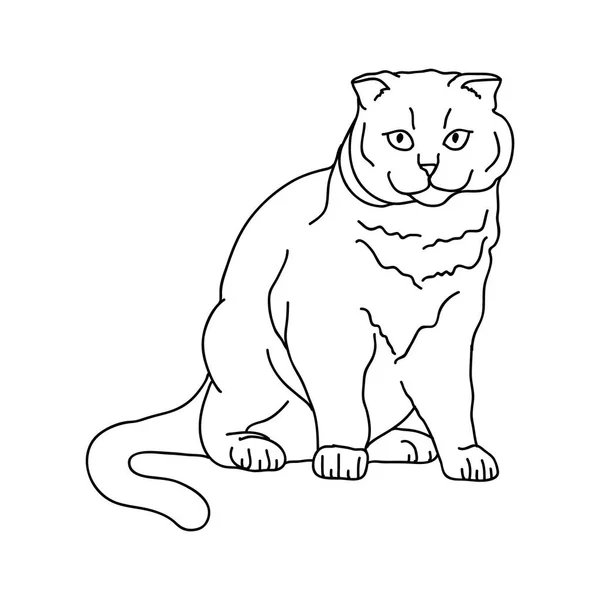 Vector Illustration Cute Cat — Stock Vector