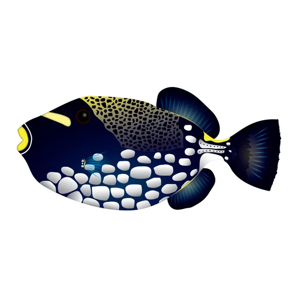 Vector Illustration Fish White Background — Stock Vector