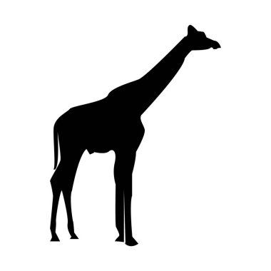 minimalist poster, vektör dijital sanat