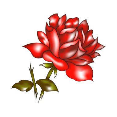 Kırmızı gül illüstrasyonuName
