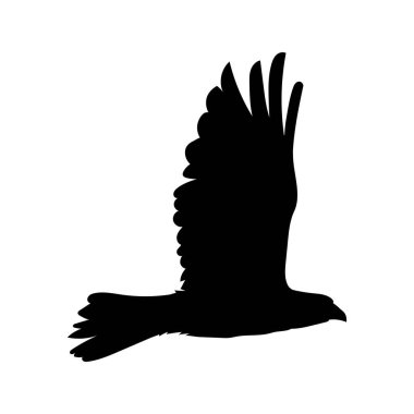 Vektör illüstrasyonu, simge ögesi arkaplanı