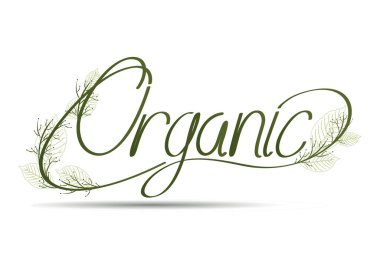 Tasarımınız için vektör harfi