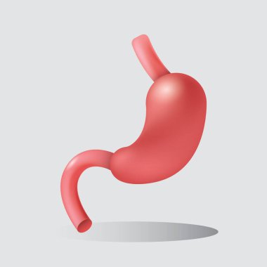 Bir insan mide ikonunun vektör çizimi
