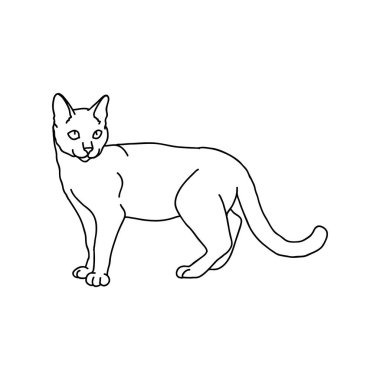 kedi resimlerinin siyah ve beyaz vektör çizimi