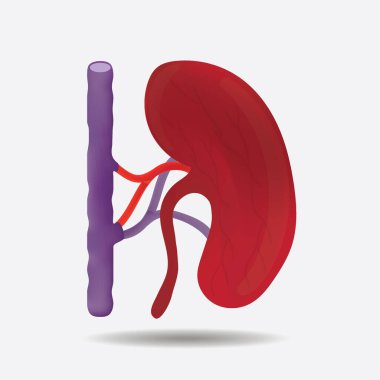 gövde parçası vektör illüstrasyonu 